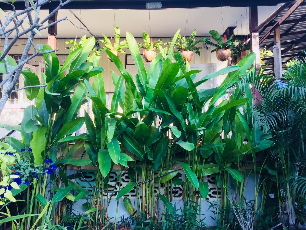 Goodmorning By Tamarind Hostel Ayutthaya Bagian luar foto